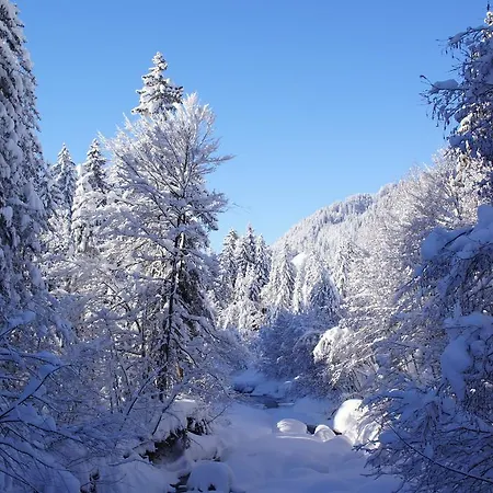 Almblick Apartment Balderschwang