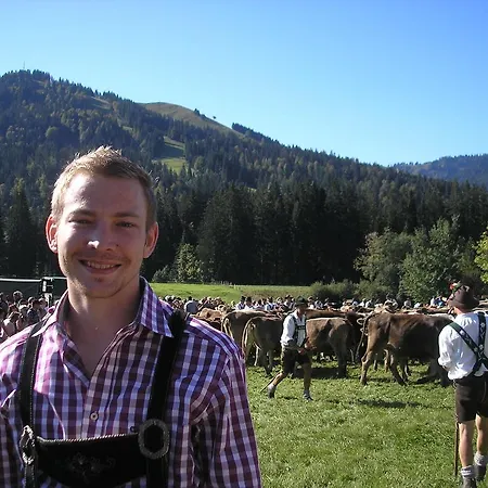 Almblick Balderschwang