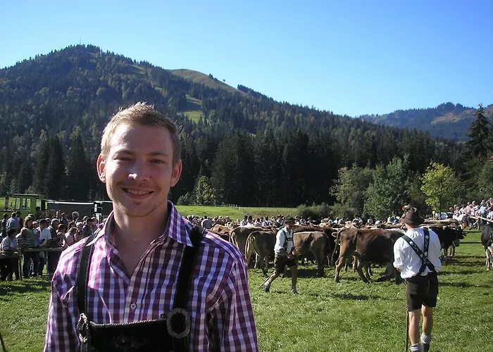 Almblick Balderschwang